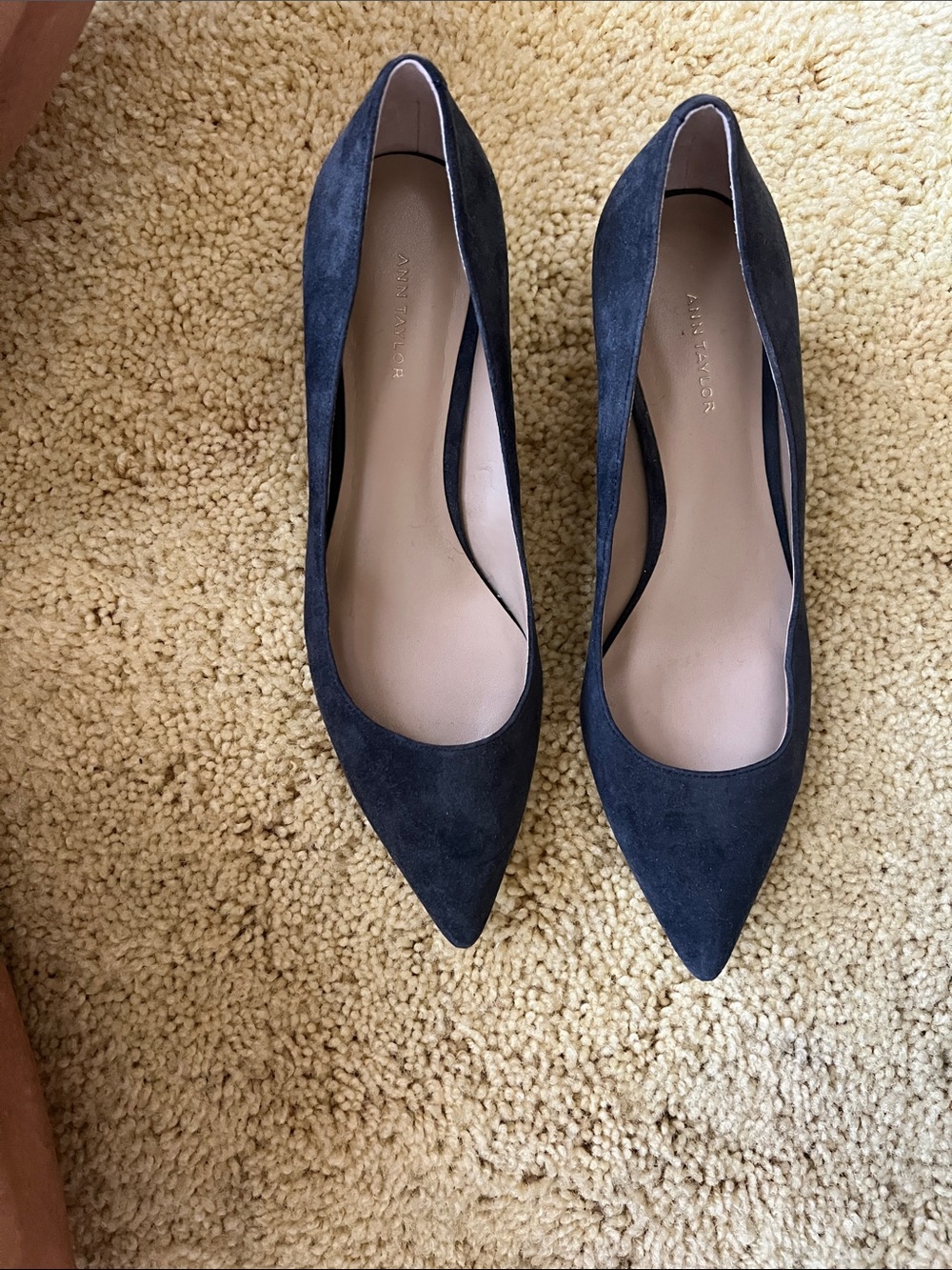 Ann Taylor Navy Suede Pointed-Toe Pumps